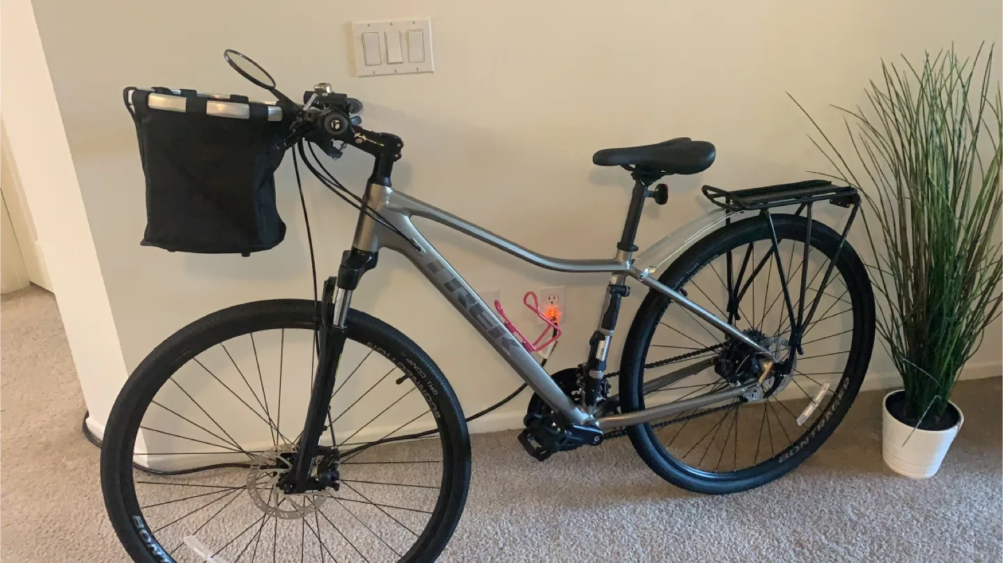 Trek Dual Sport 1 Disc Hybrid Bike - Silver thumbnail