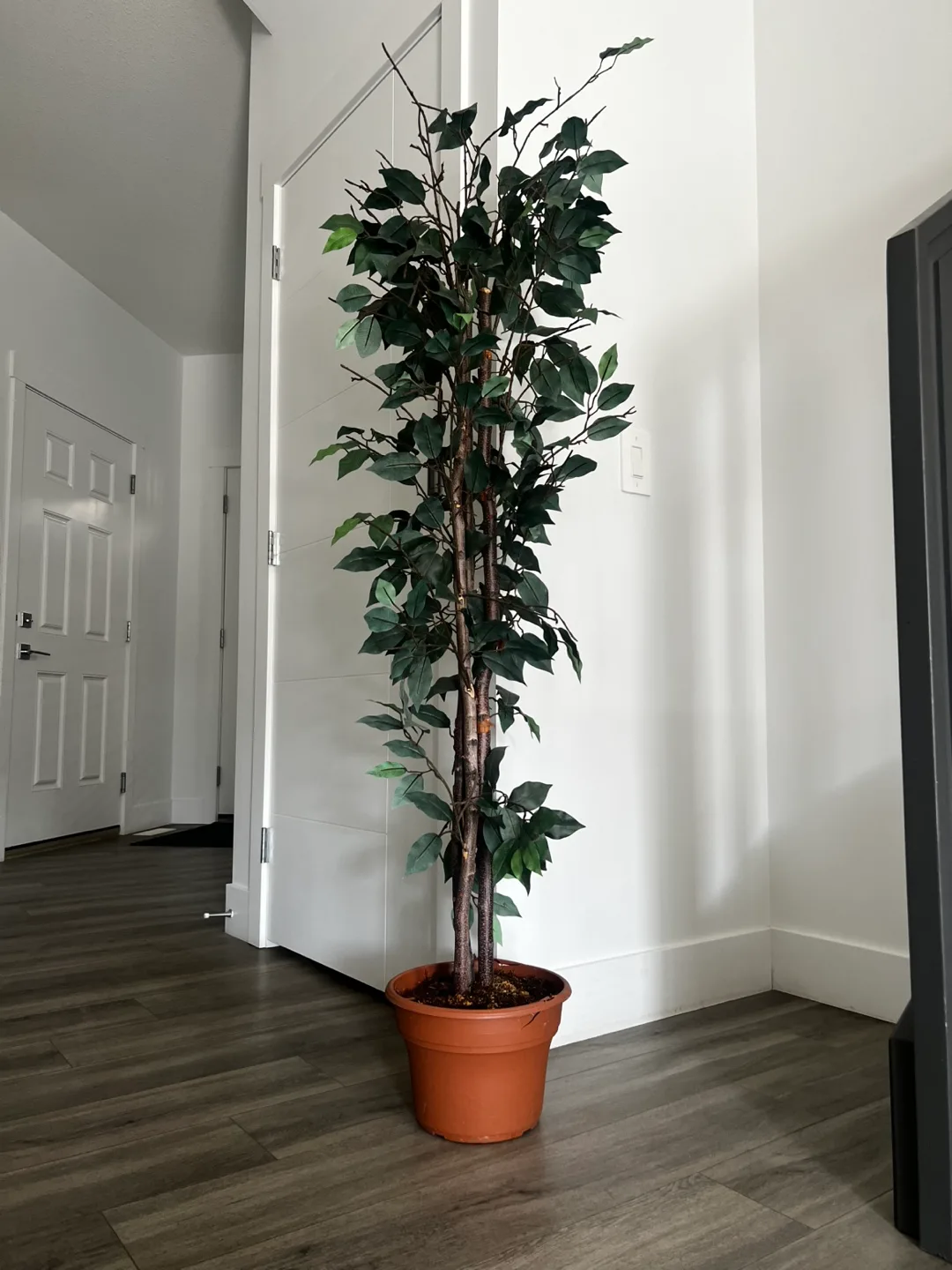 Artificial Ficus Tree in Pot thumbnail