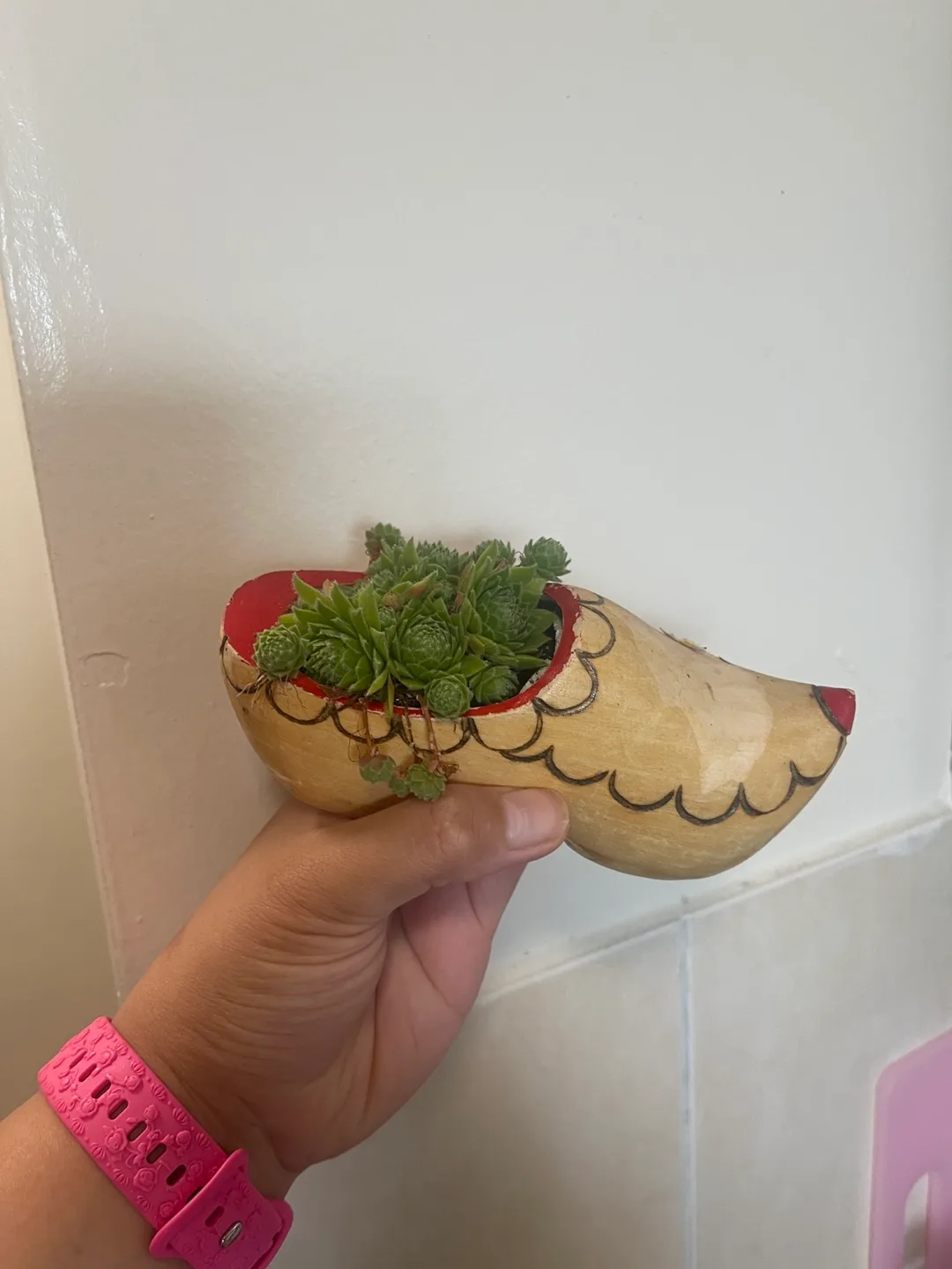 Succulent in Wooden Clog Planter thumbnail