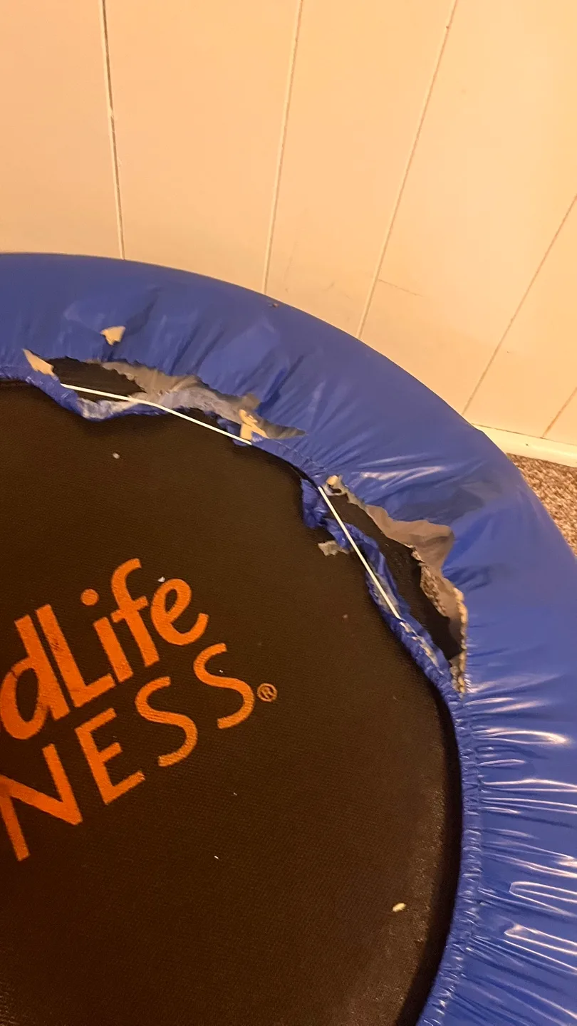 Used GoodLife Fitness trampoline #freecycle image indicator(3)