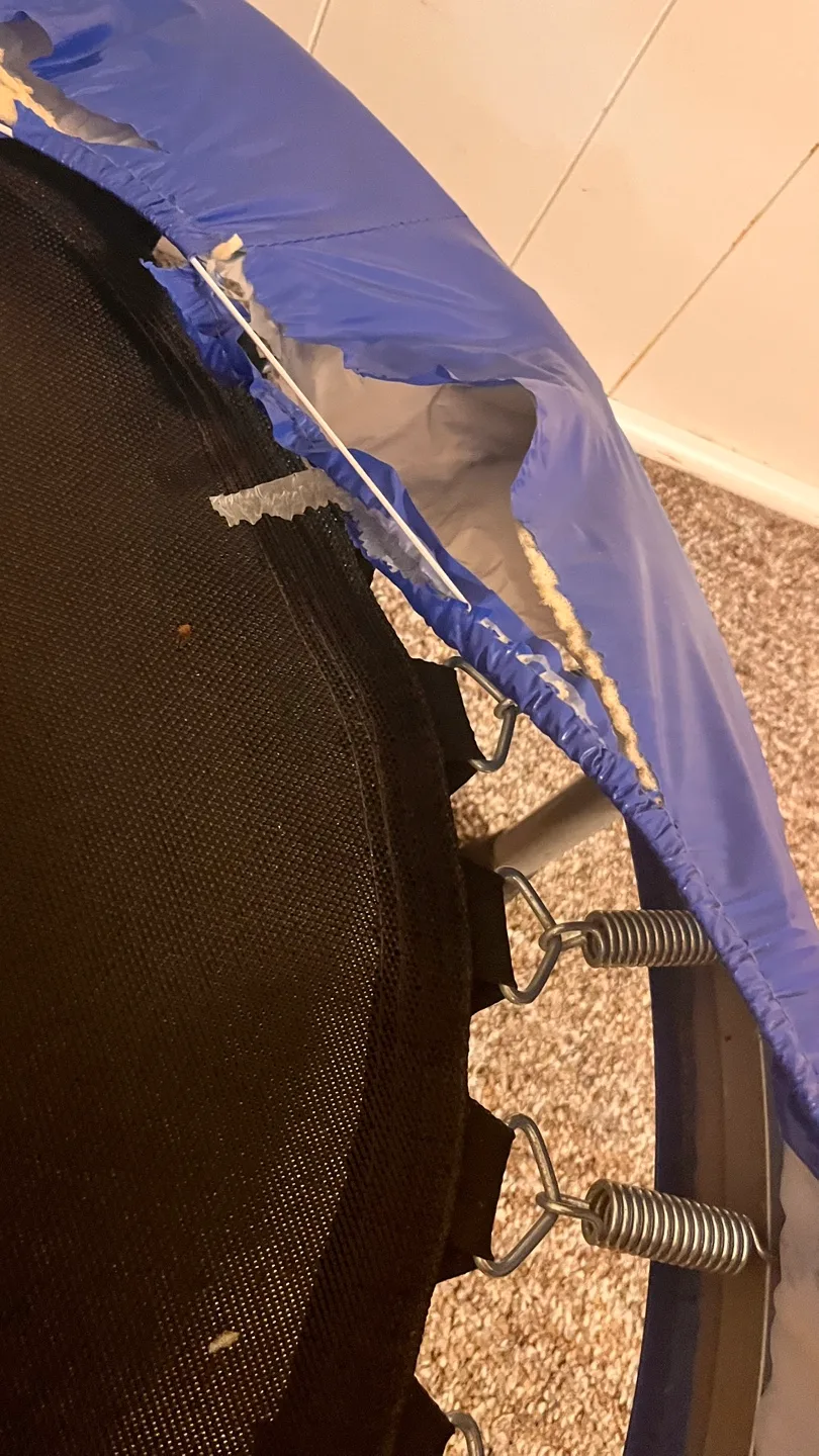 Used GoodLife Fitness trampoline #freecycle image indicator(2)