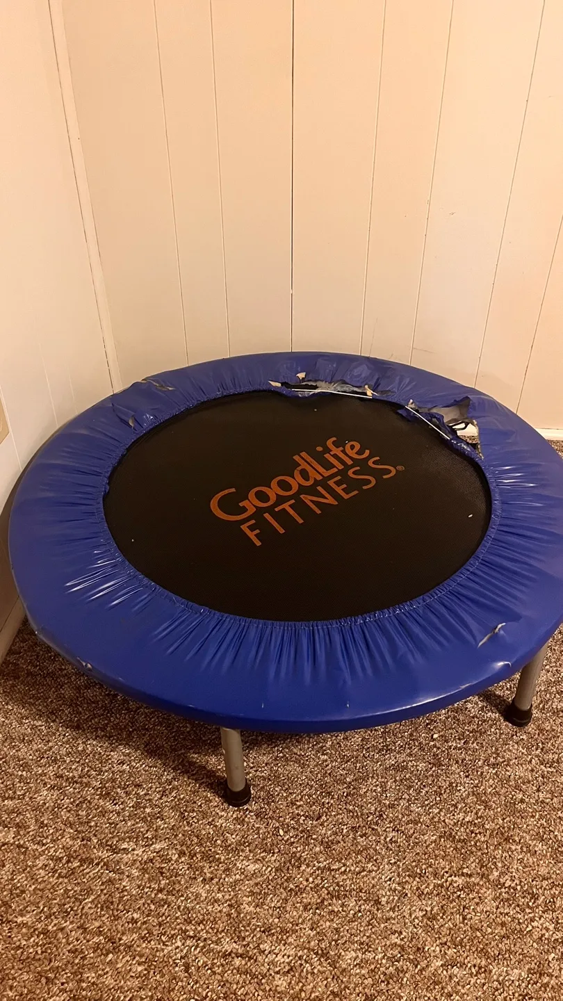Used GoodLife Fitness trampoline #freecycle thumbnail