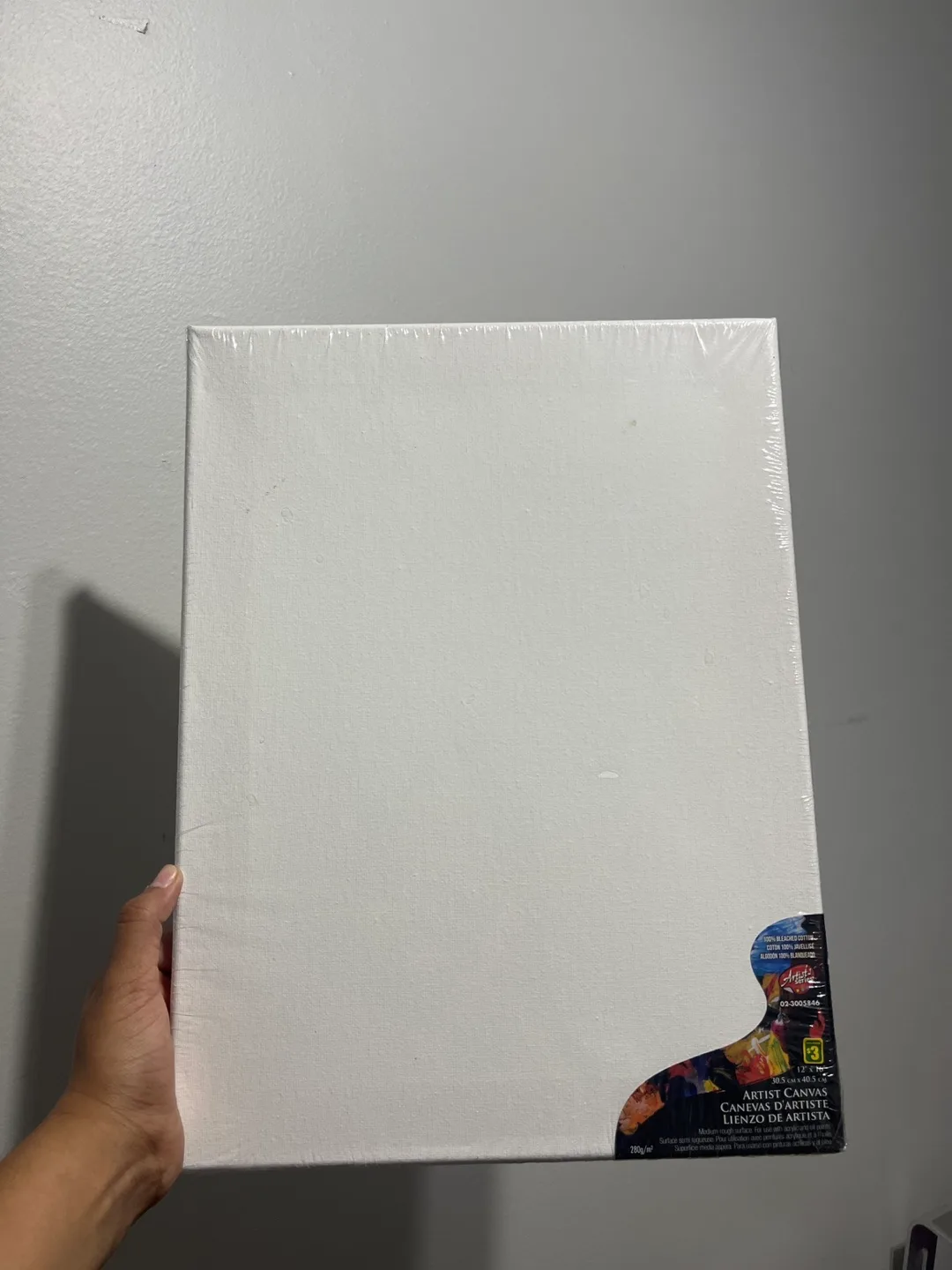 New Artist Canvas 12" x 16" thumbnail
