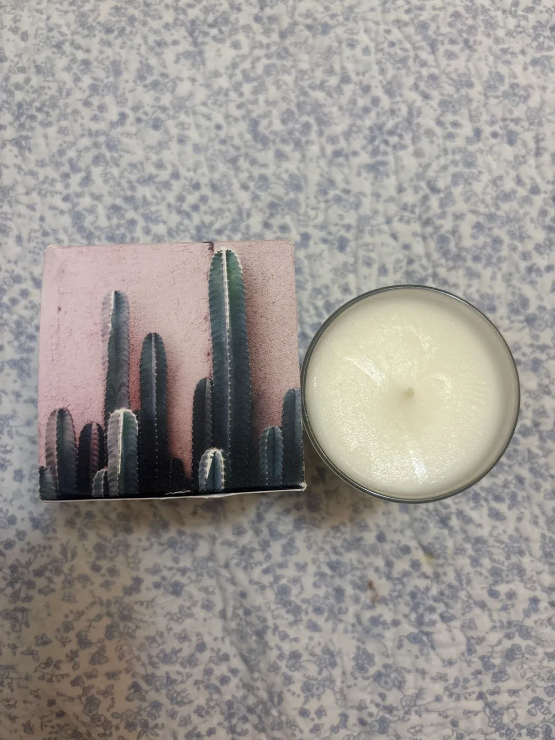 Maison La Bougie Cactus Candle image indicator(2)