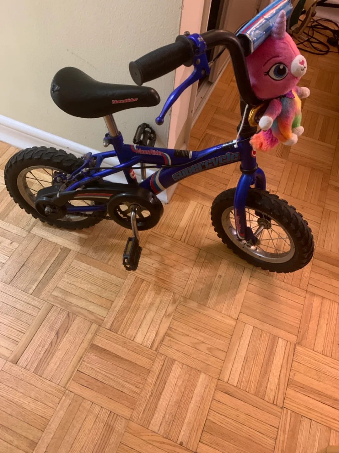 Supercycle bicycle thumbnail