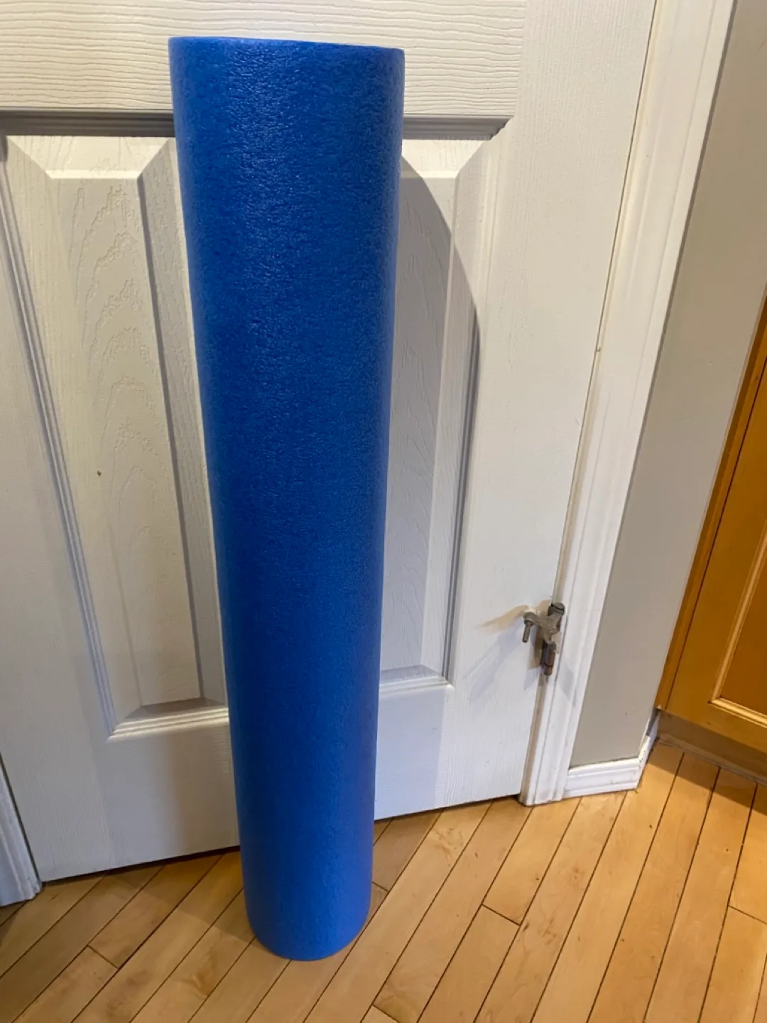 🍁Blue Foam Roller thumbnail