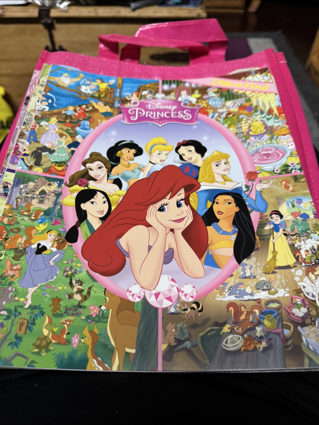 Disney Look and Find Books - Princess, Frozen, Minnie Mouse
