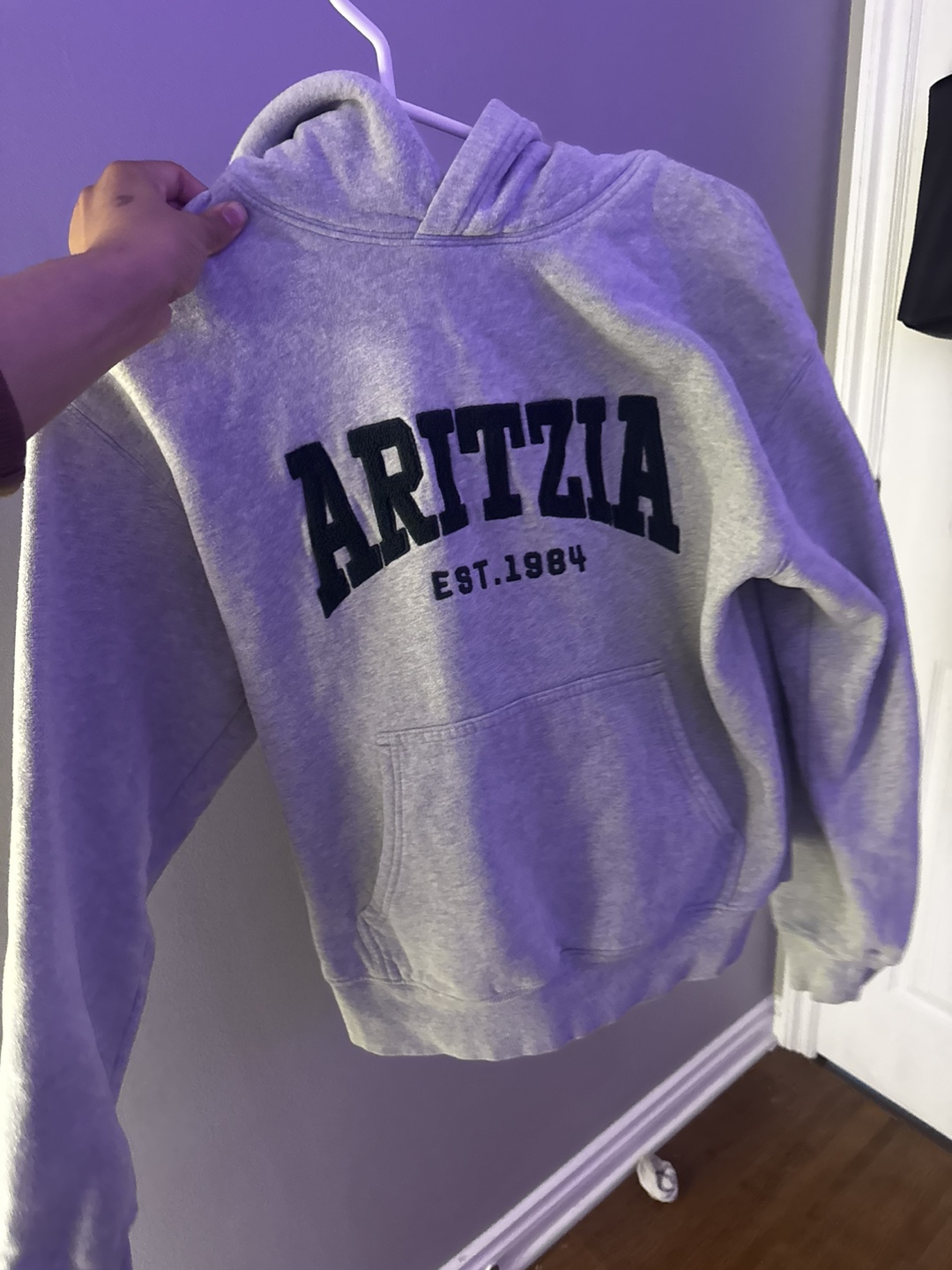 Aritzia Hoodie & Sweatpants Set - photo 3