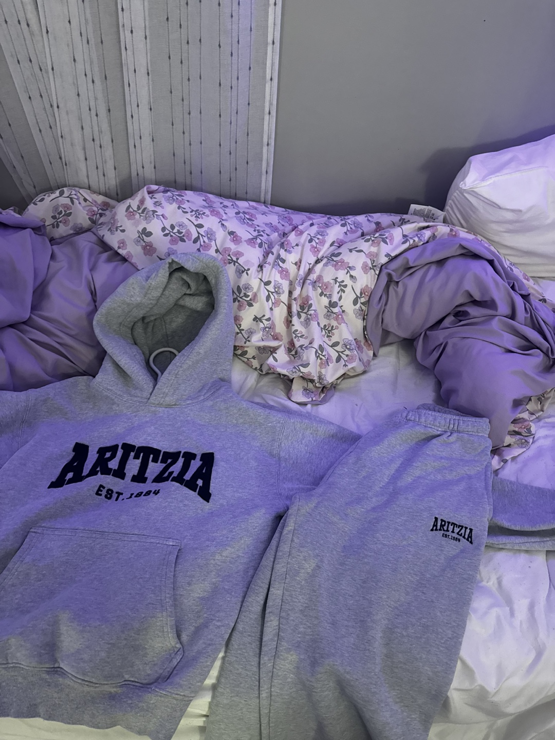Aritzia Hoodie & Sweatpants Set - photo 4