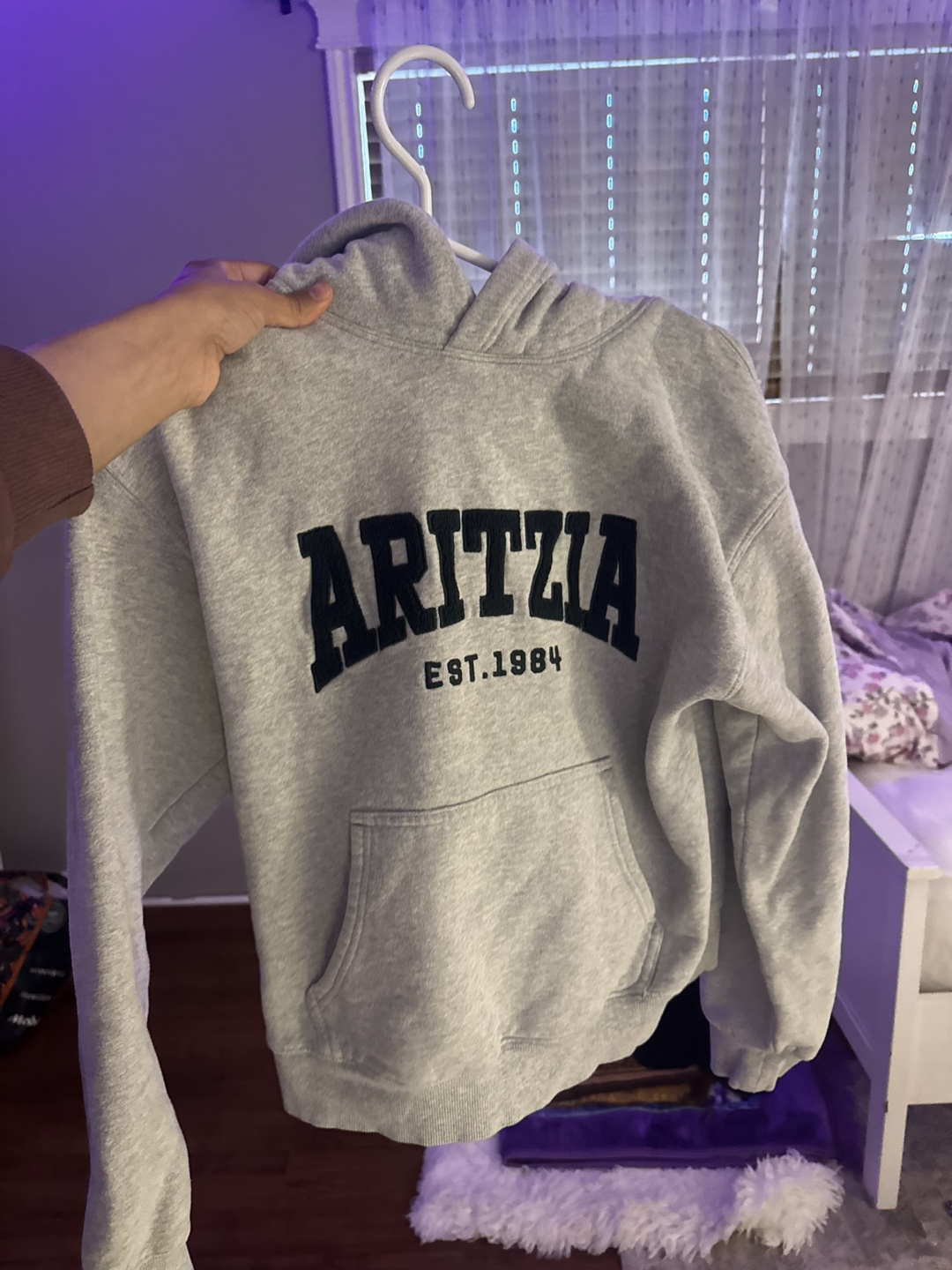 Aritzia Hoodie & Sweatpants Set - photo 2