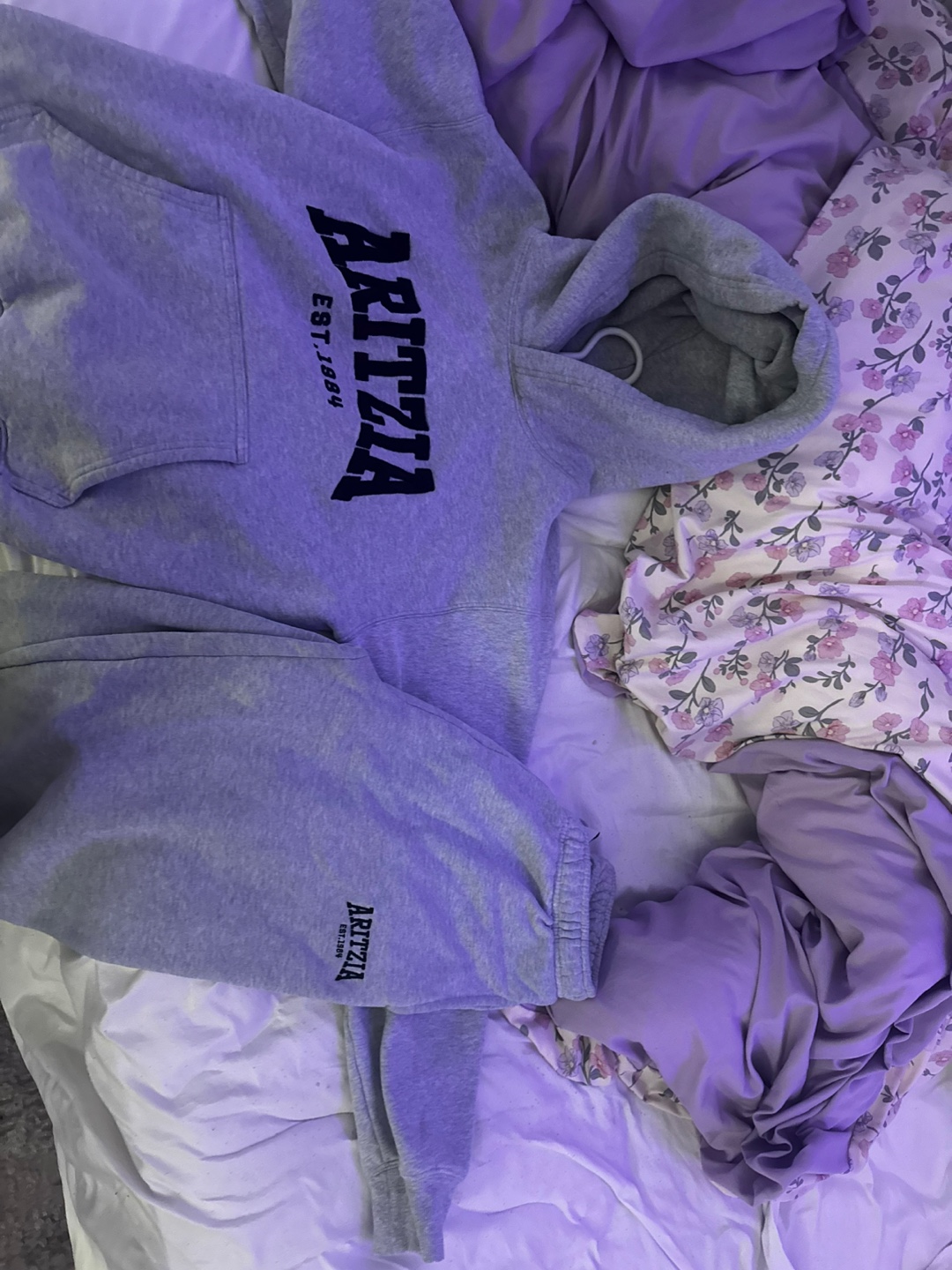 Aritzia Hoodie & Sweatpants Set