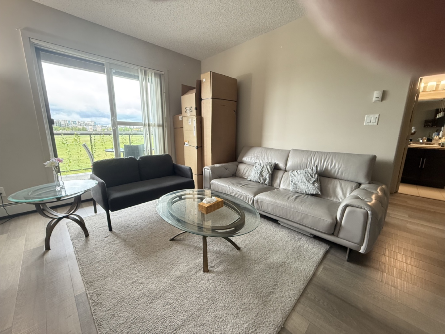 Grey Leather couch+ love seat (IKEA) + centre and side table