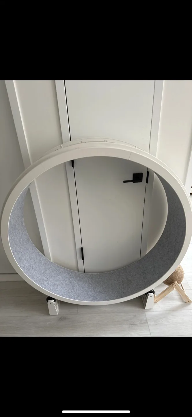 3’ 10”  Cat Exercise Wheel - White thumbnail