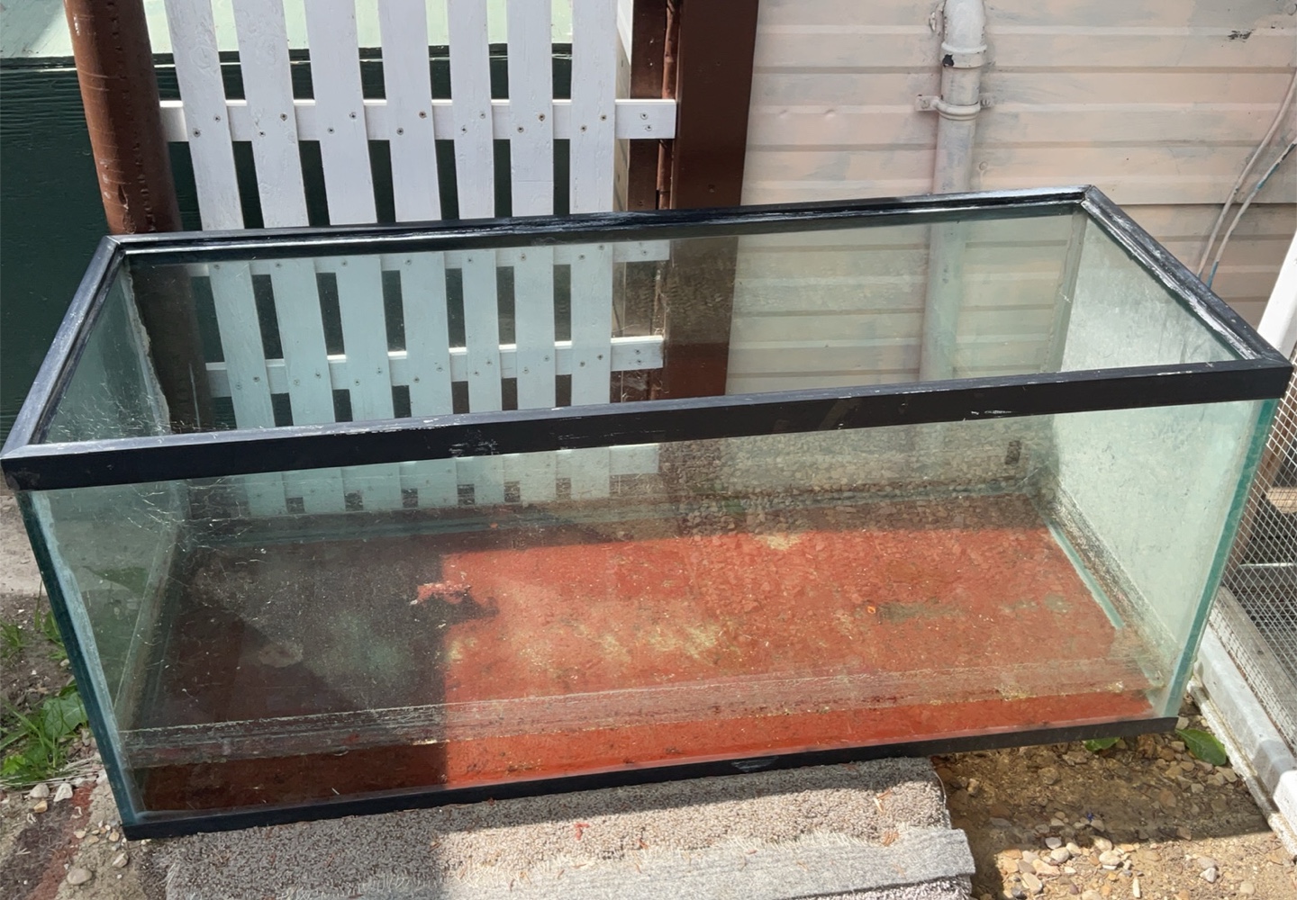 Used Fish Tank