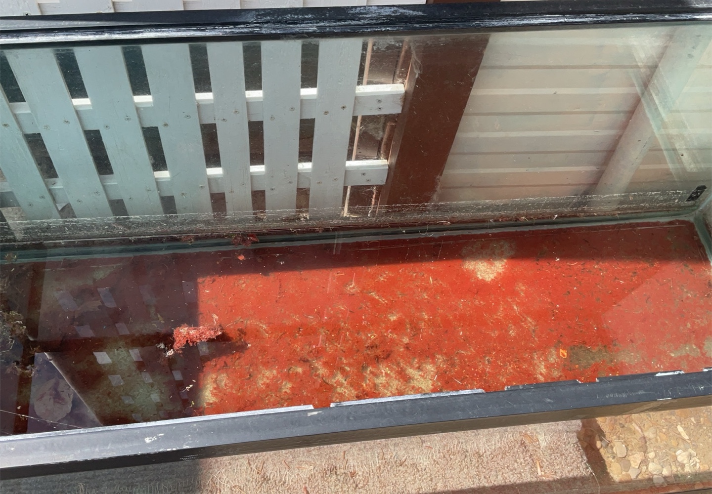 Used Fish Tank - photo 2