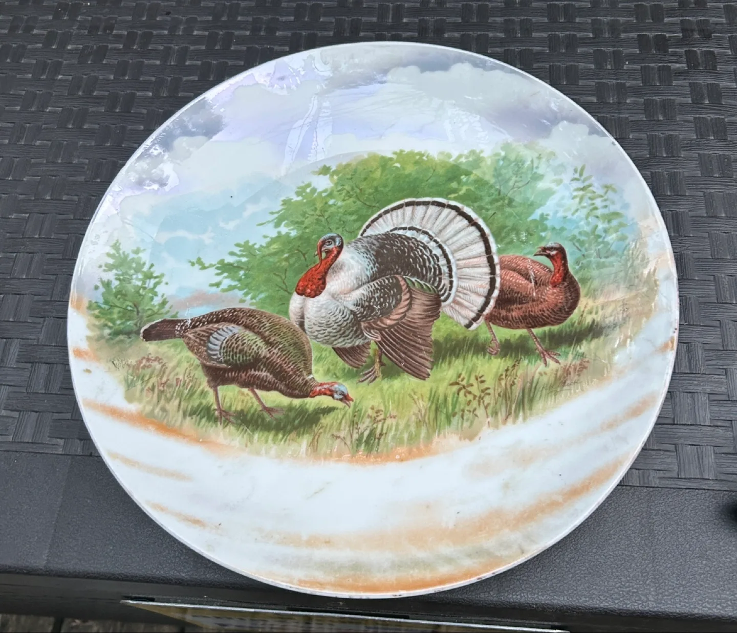 Vintage Turkey Decorative Plate thumbnail