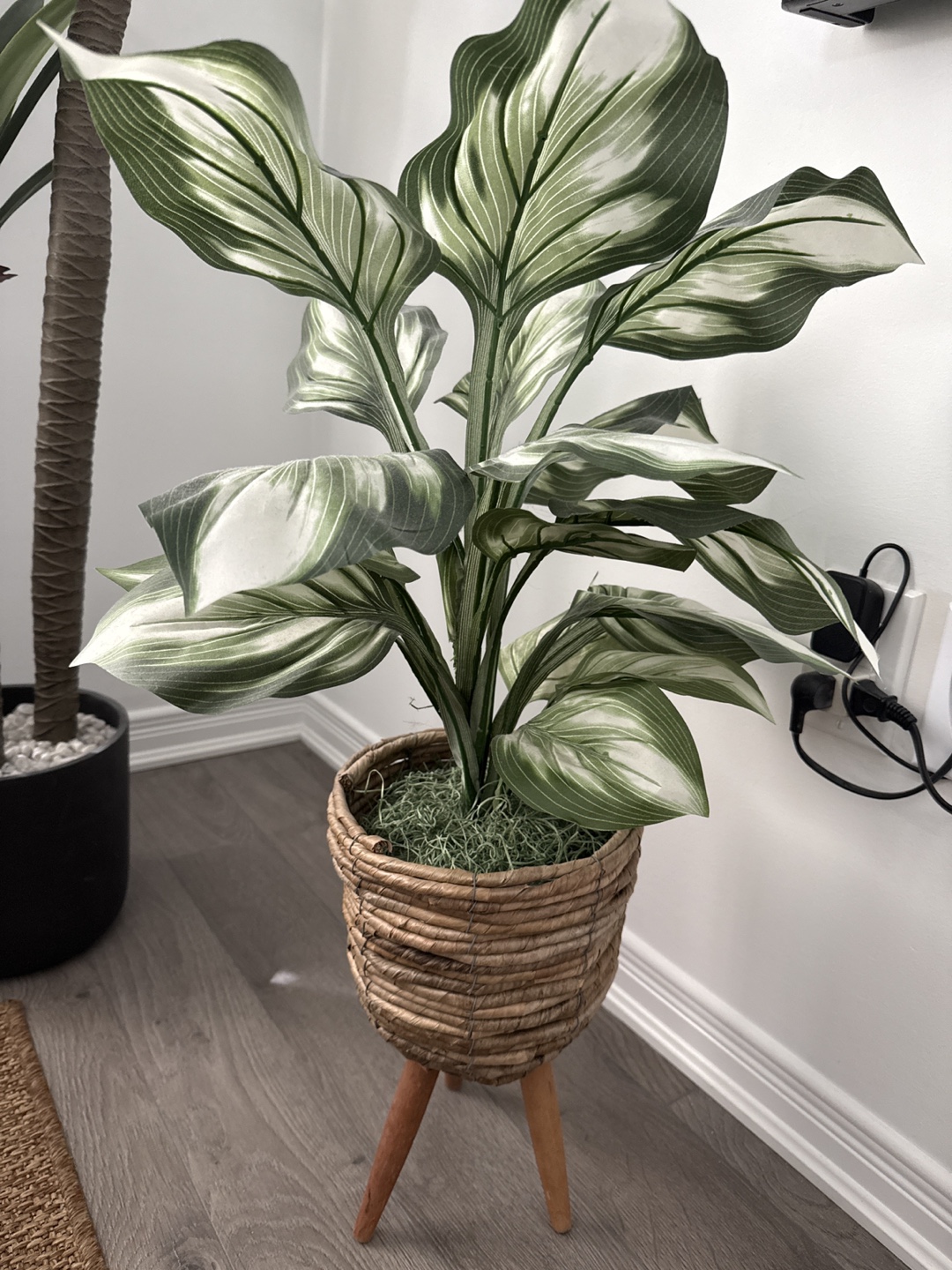 Faux Hosta Plant in Woven Pot