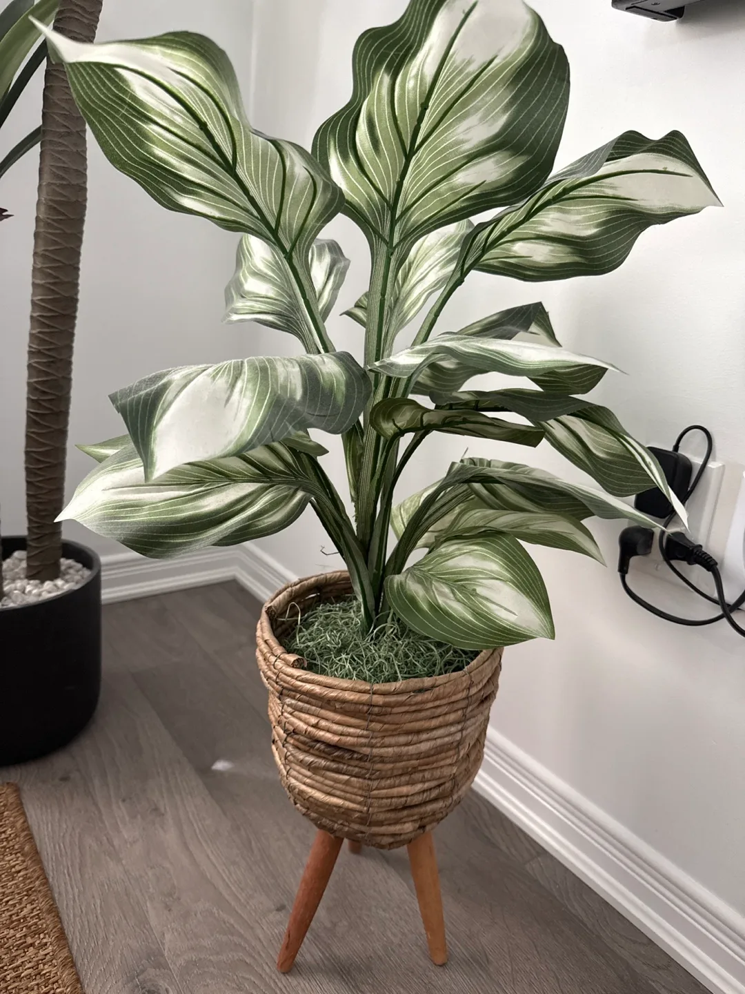 Faux Hosta Plant in Woven Pot thumbnail