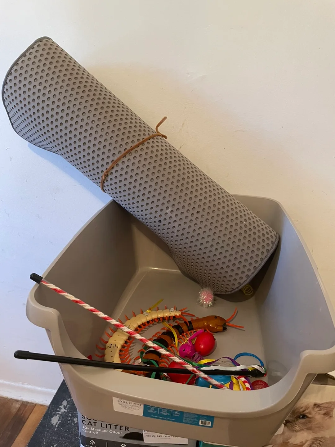 Cat LitterBox, Toys & LitterMat thumbnail
