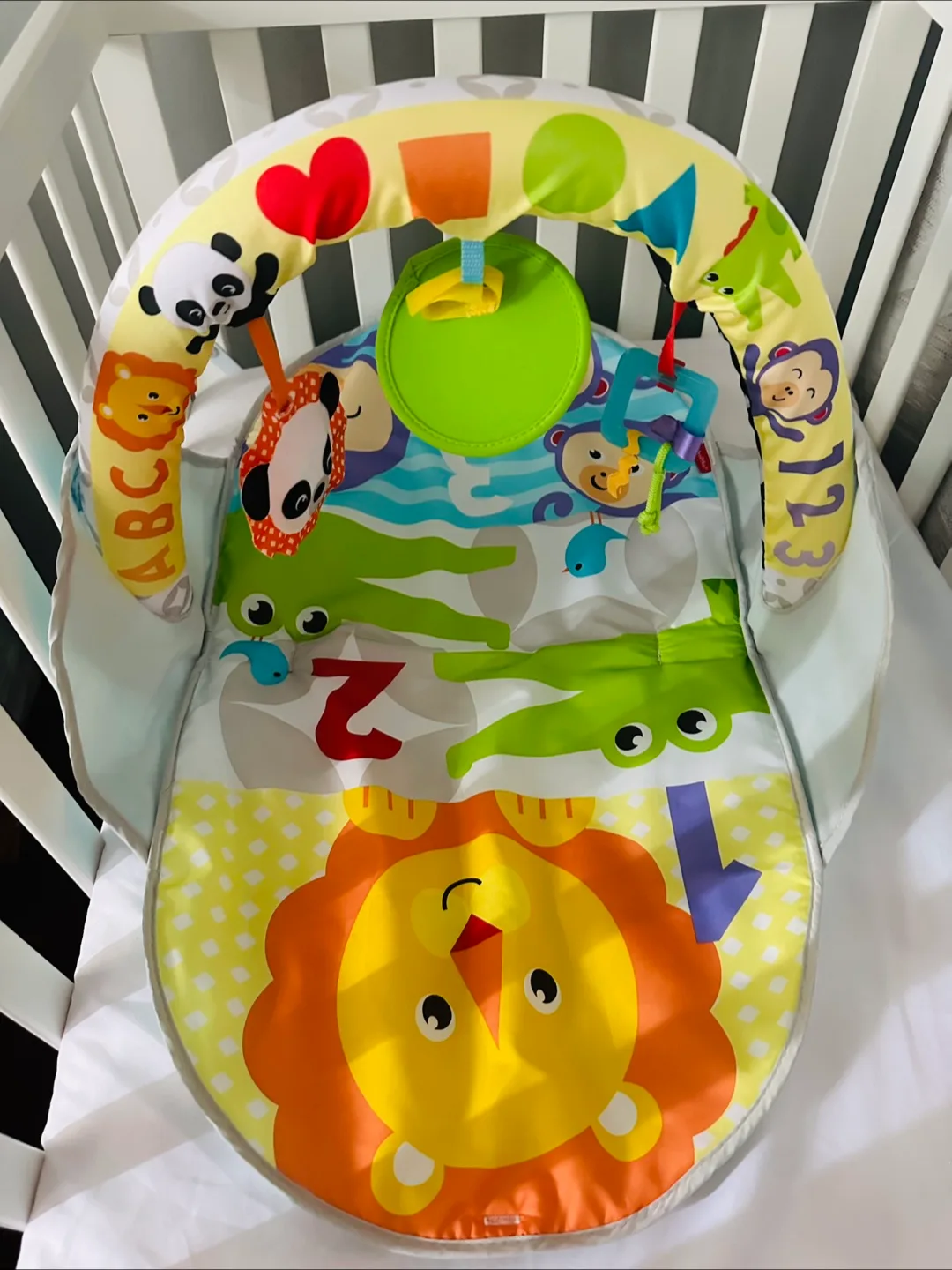 Fisher-Price Baby Play Mat Gym thumbnail