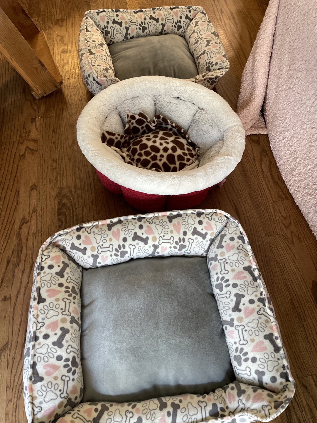 Dog Beds - Three Available!