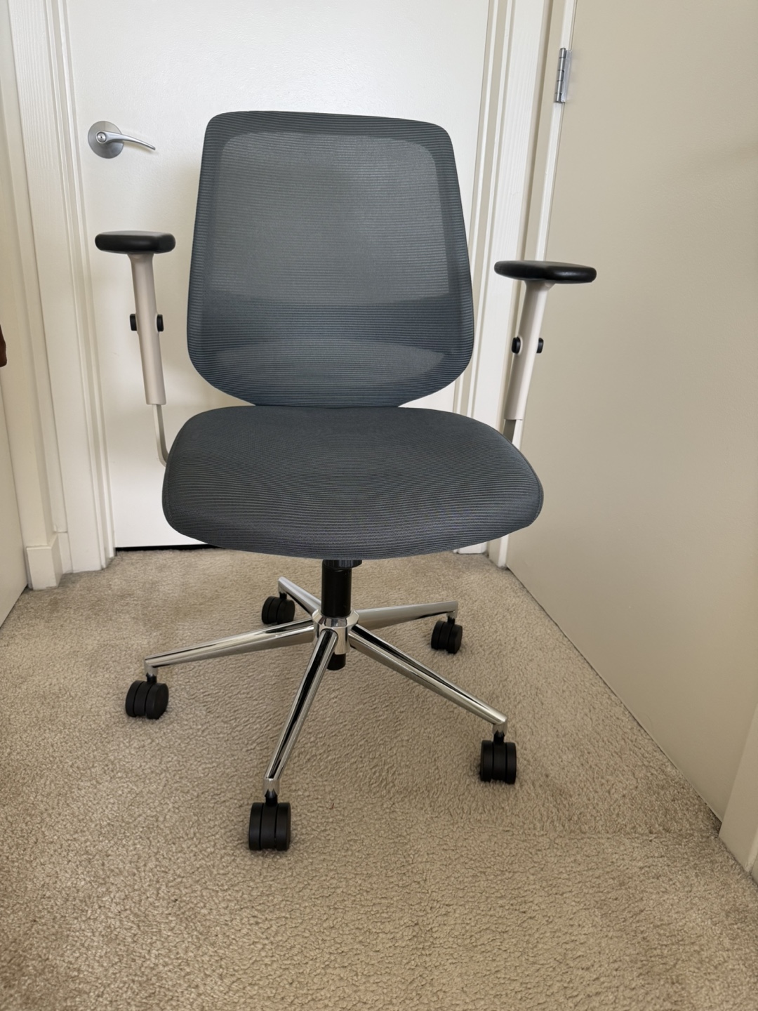 Branch Furniture Daily Office Chair
