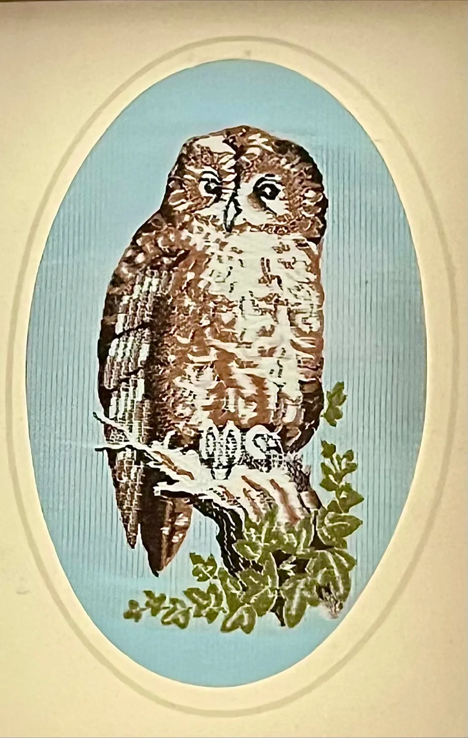 Framed Cash’s Silk Woven Tawny Owl Picture image indicator(2)