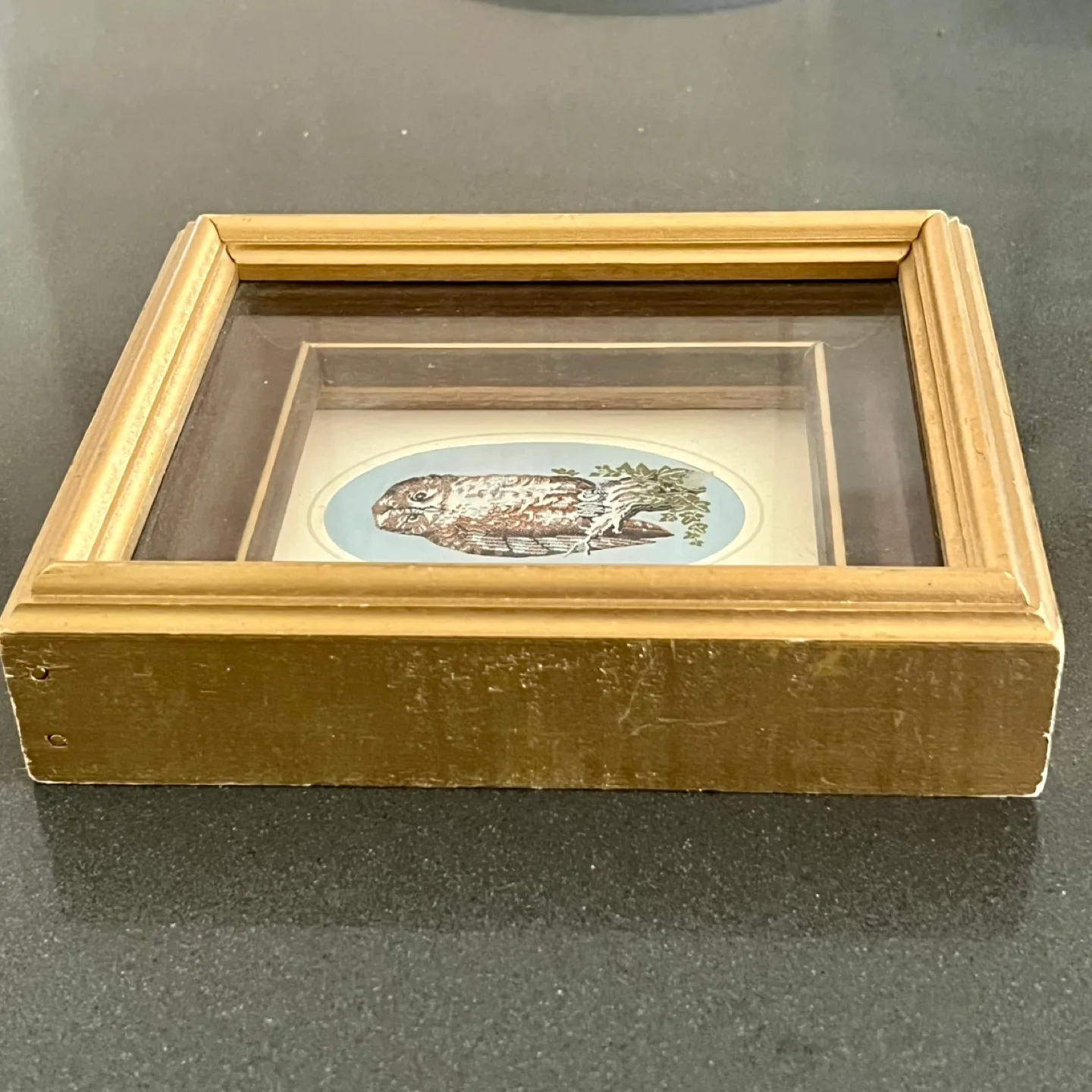 Framed Cash’s Silk Woven Tawny Owl Picture image indicator(3)