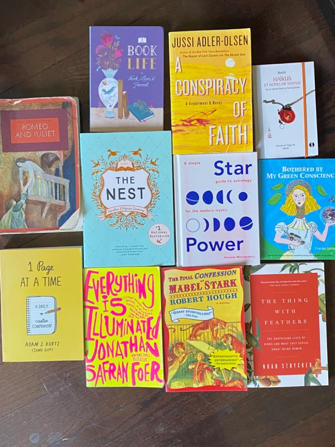 Assorted Books - Romeo and Juliet, The Nest, and More! thumbnail
