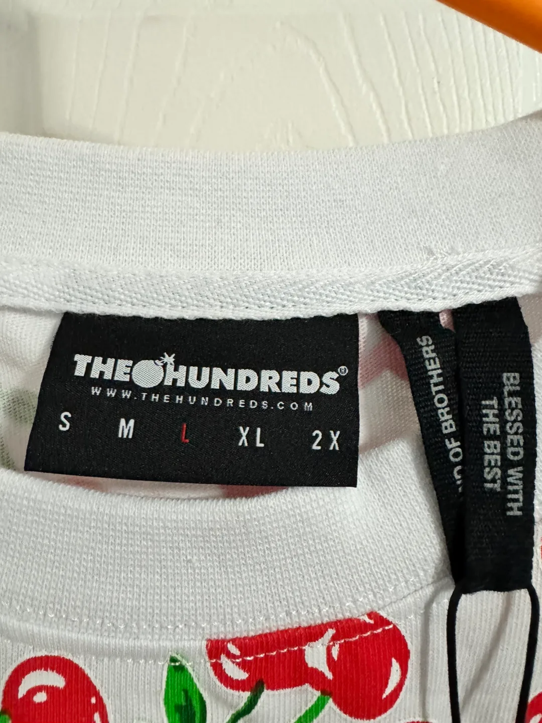 The Hundreds Strawberry AOP (Large) image indicator(3)