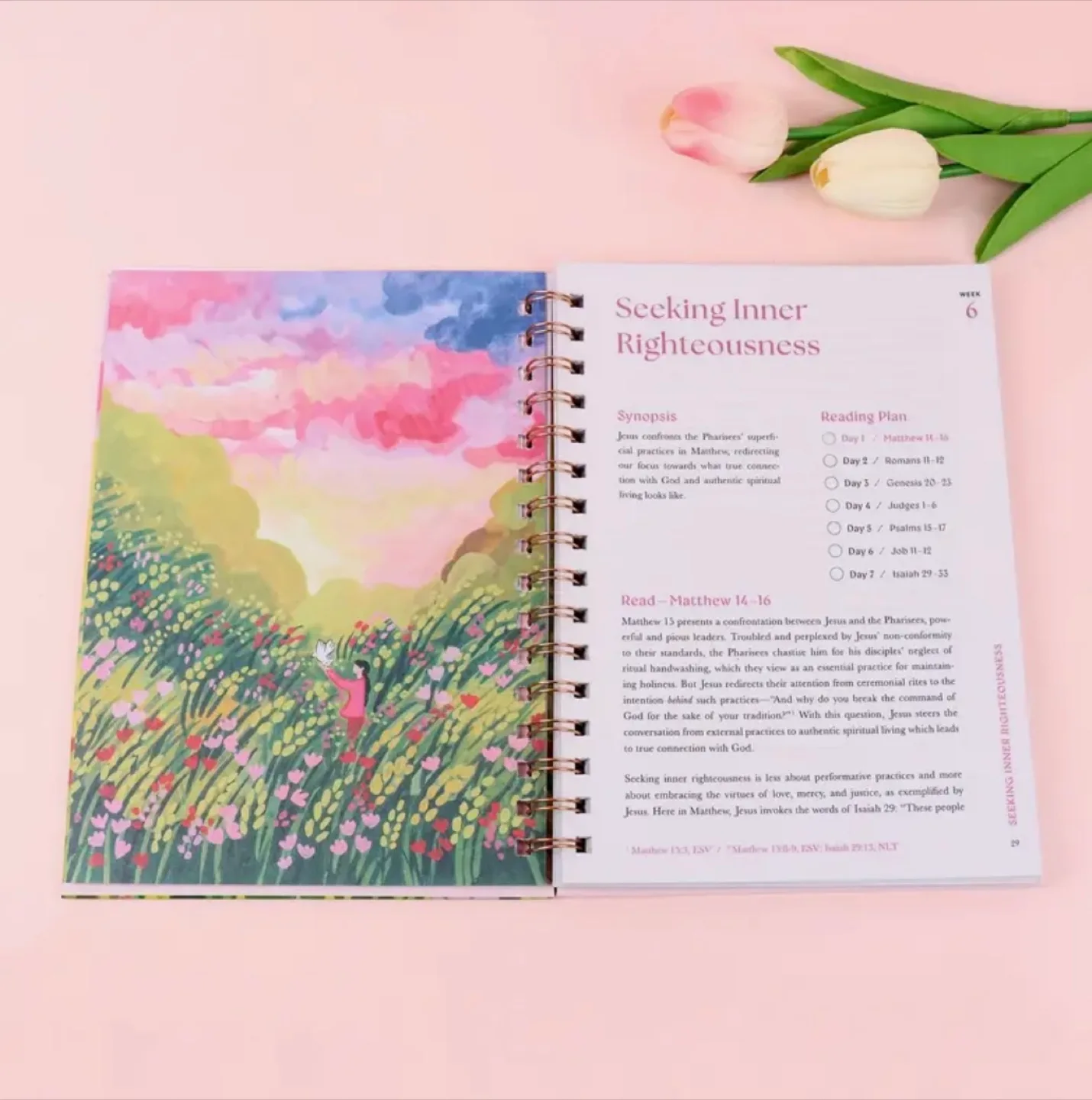 Bible planner image indicator(5)