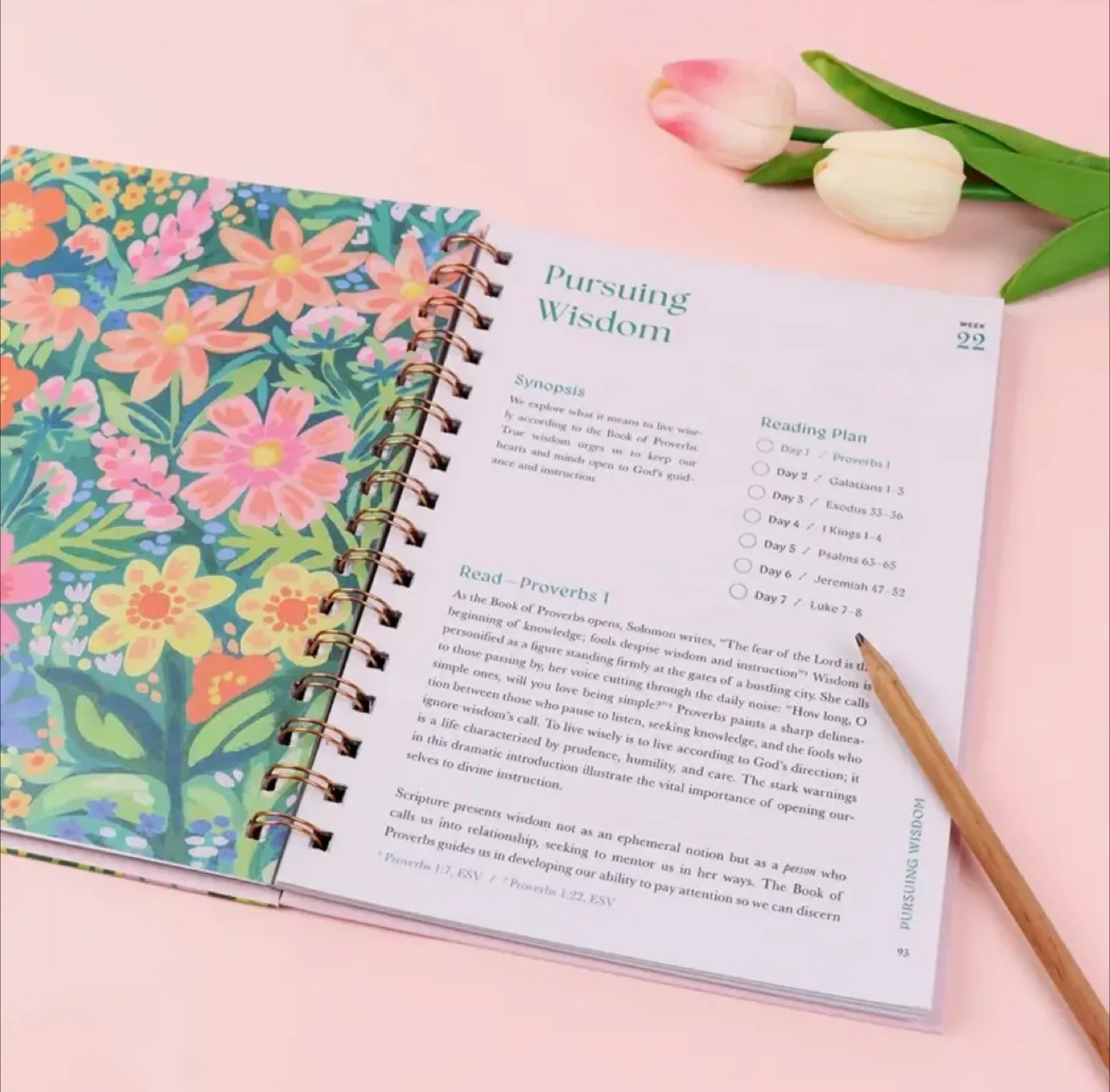 Bible planner image indicator(4)