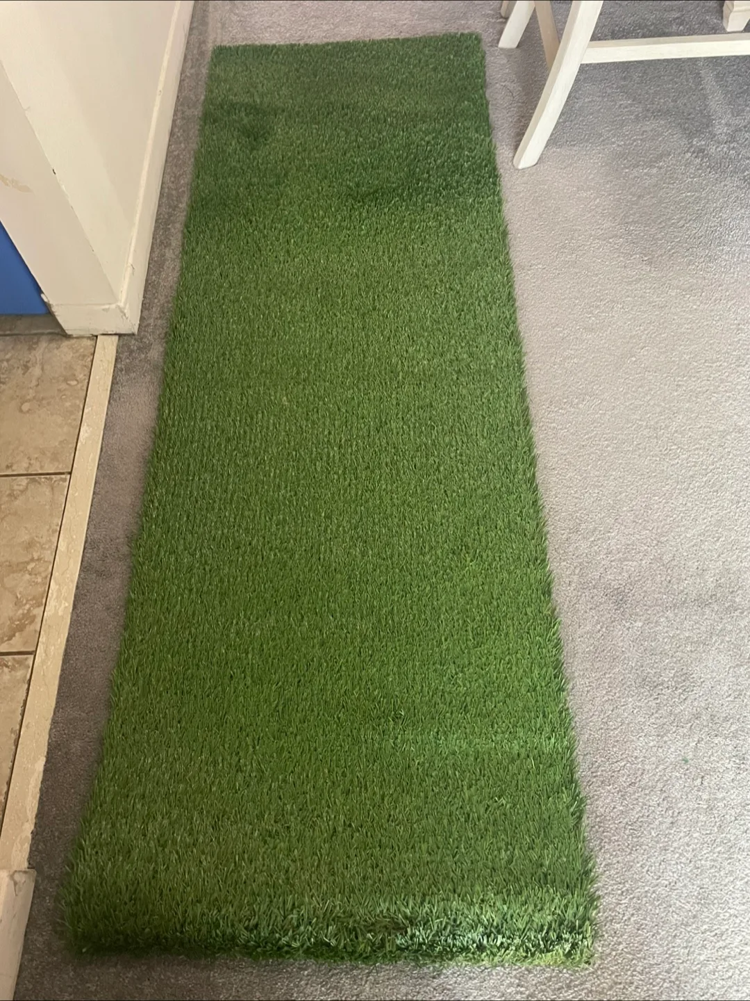 Brand New Green Artificial Turf Rug thumbnail