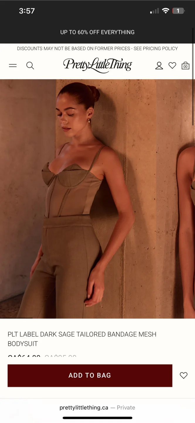 PrettyLittleThing Sage Mesh Bodysuit - with tags! Size US 4 thumbnail