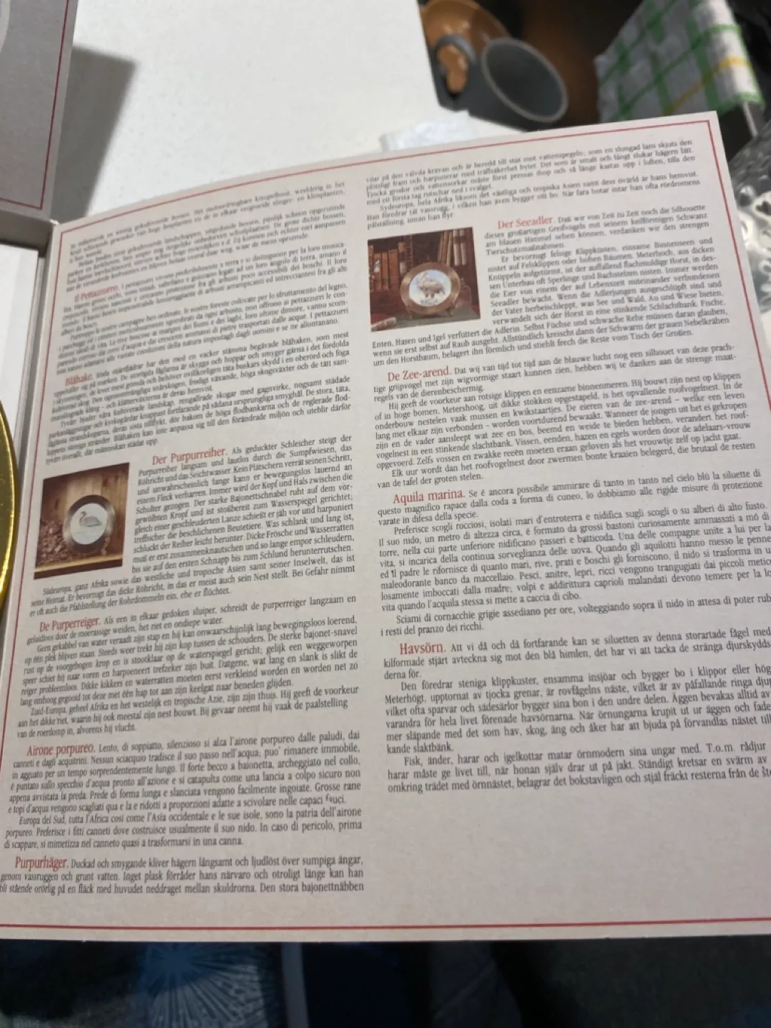 Berendsohn Edition Decorative Plate image indicator(3)