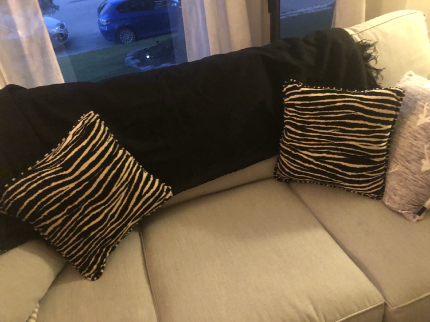 Zebra Print Throw Blanket & Pillow Set - photo 2