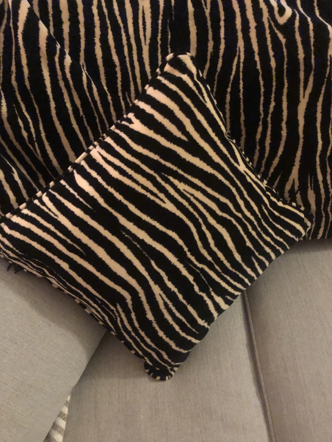 Zebra Print Throw Blanket & Pillow Set - photo 3