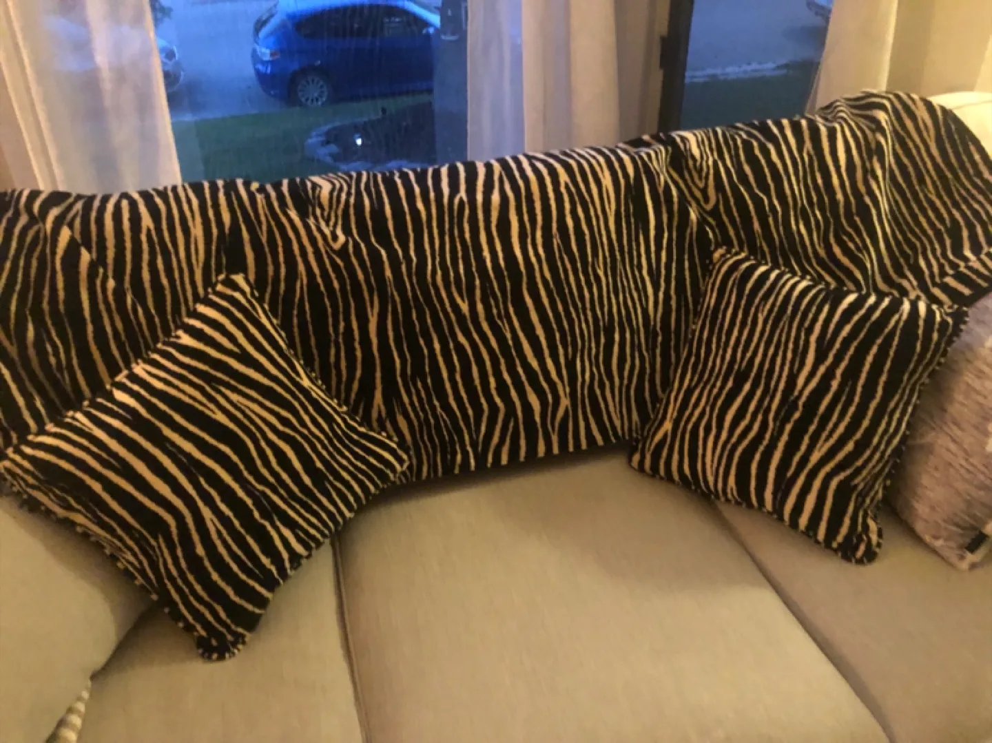 Zebra Print Throw Blanket & Pillow Set
