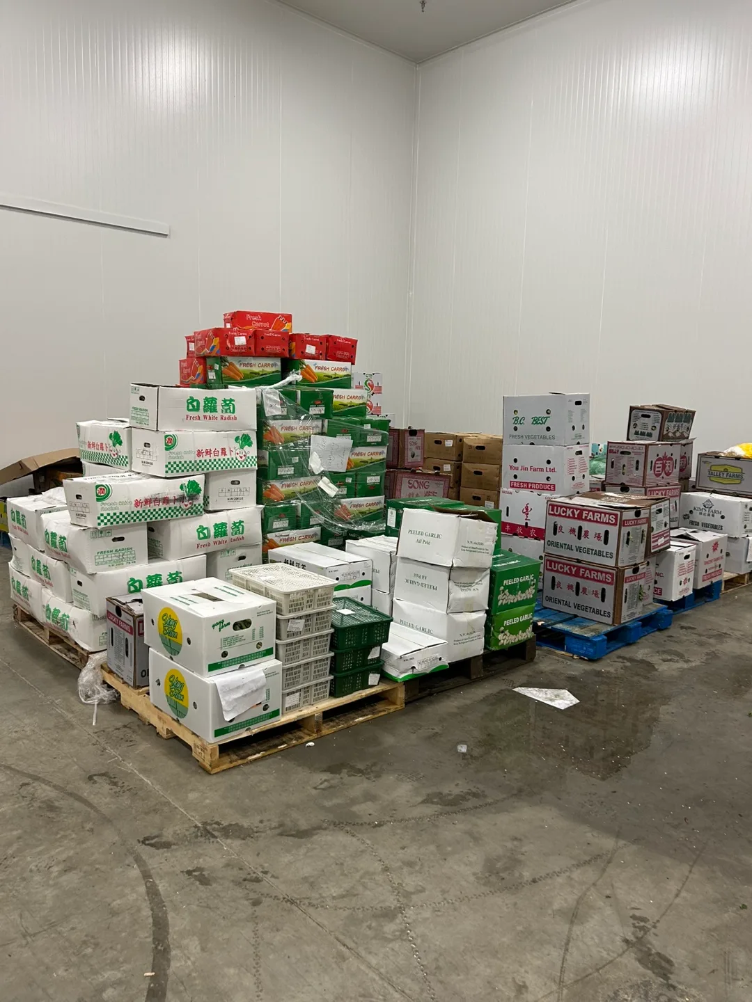 Vegetable blind box image indicator(2)