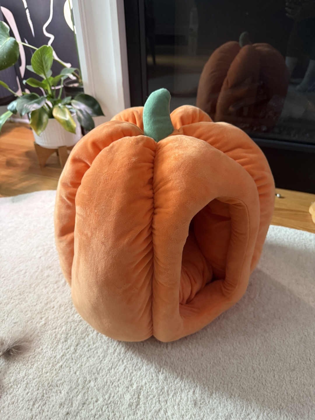 Pumpkin Cat Bed