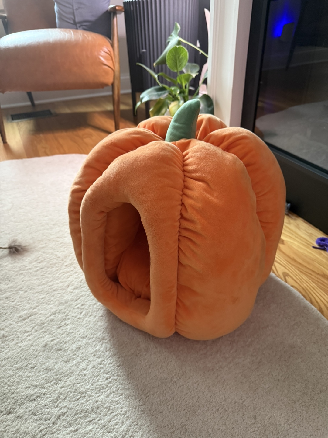 Pumpkin Cat Bed - photo 2