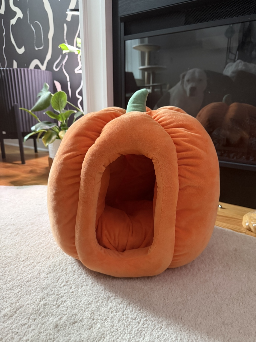 Pumpkin Cat Bed - photo 4