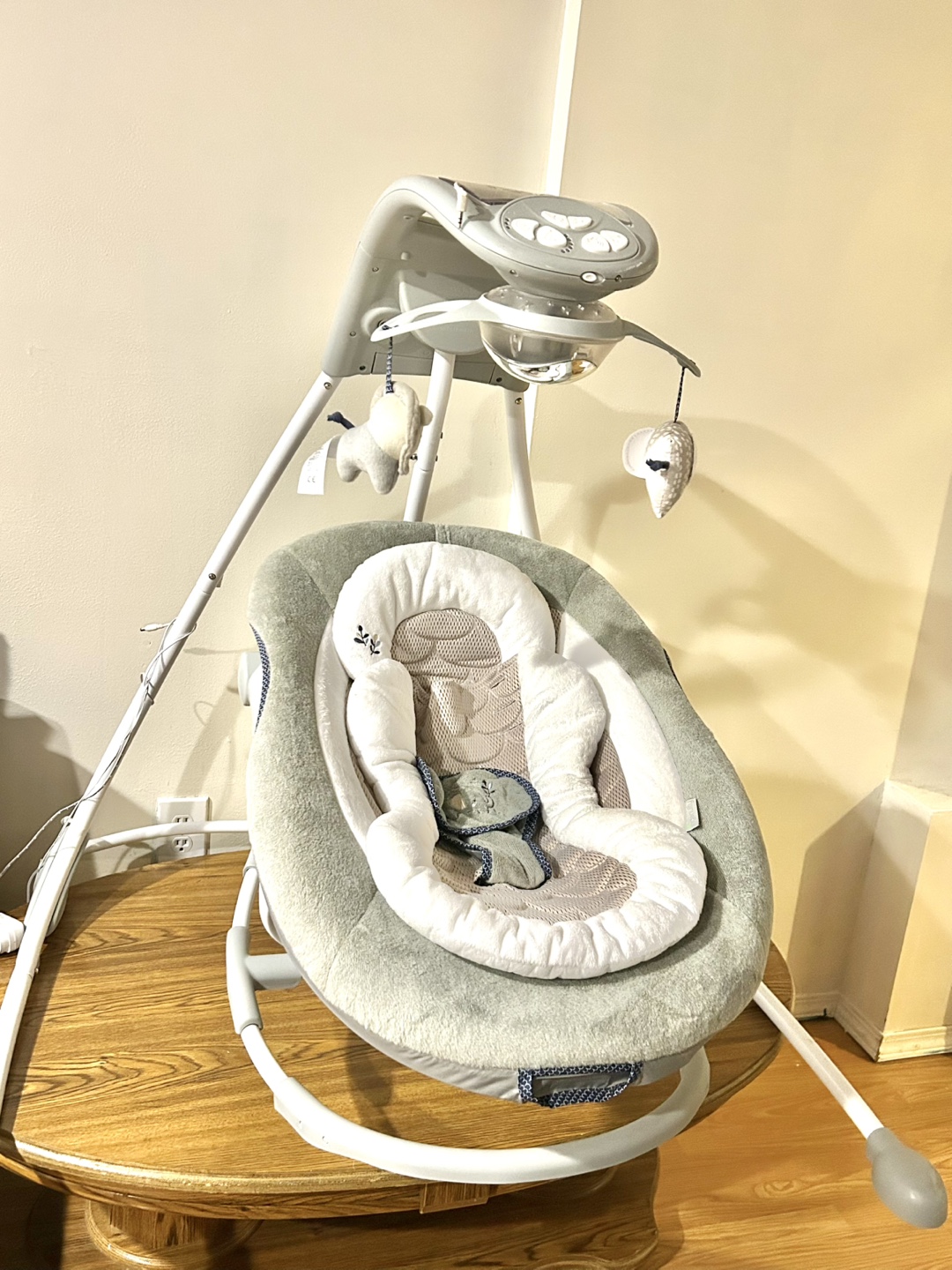 Ingenuity Baby Swing & Bouncer