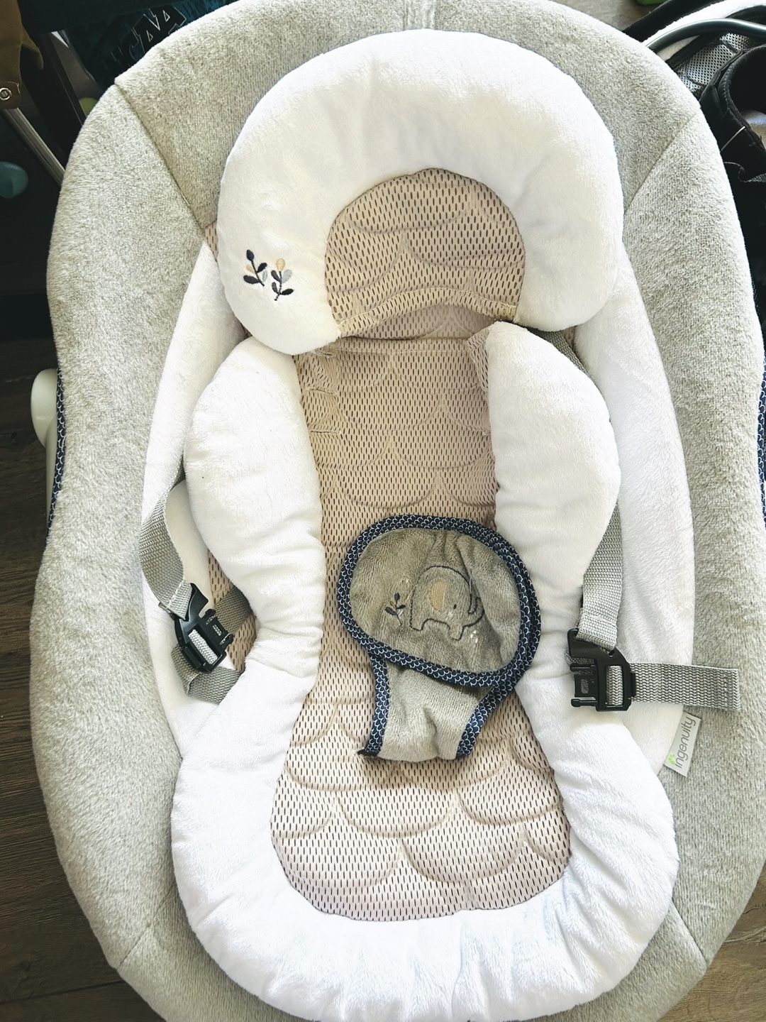 Ingenuity Baby Swing & Bouncer - photo 2