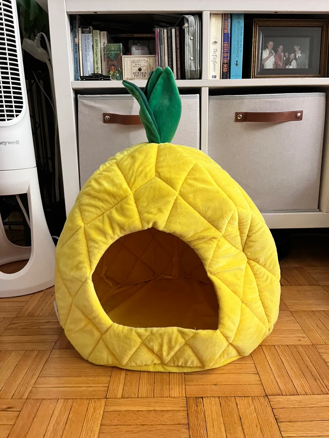 Pineapple Pet House Bed thumbnail