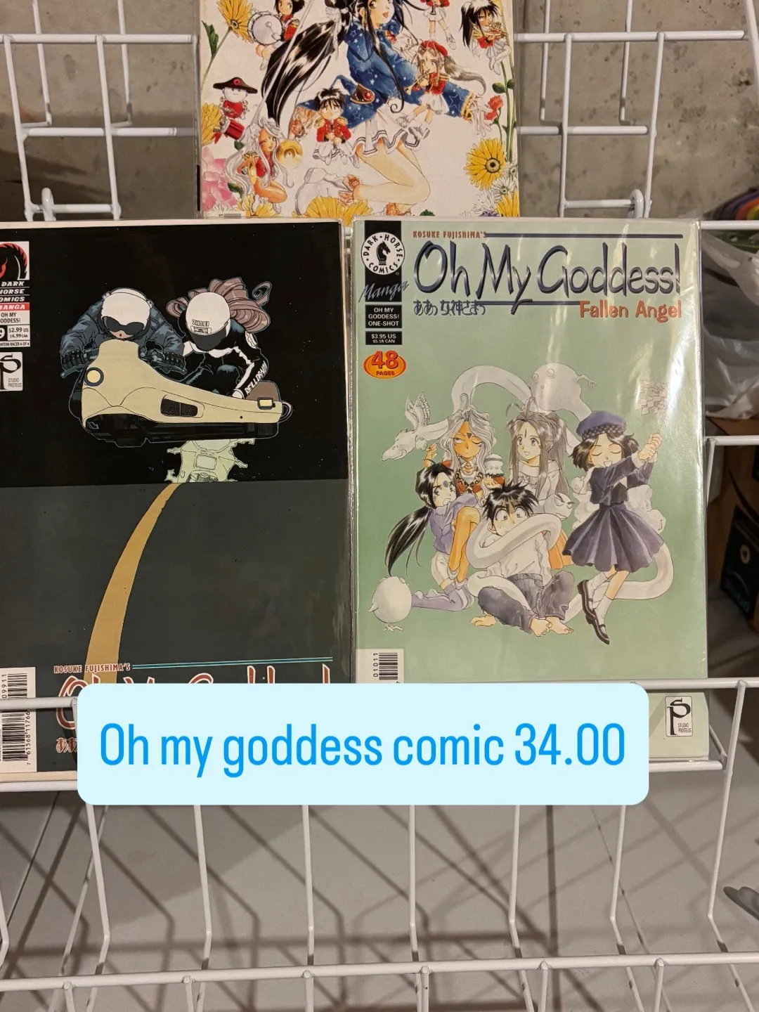 Oh My Goddess! Fallen Angel Comic Book thumbnail