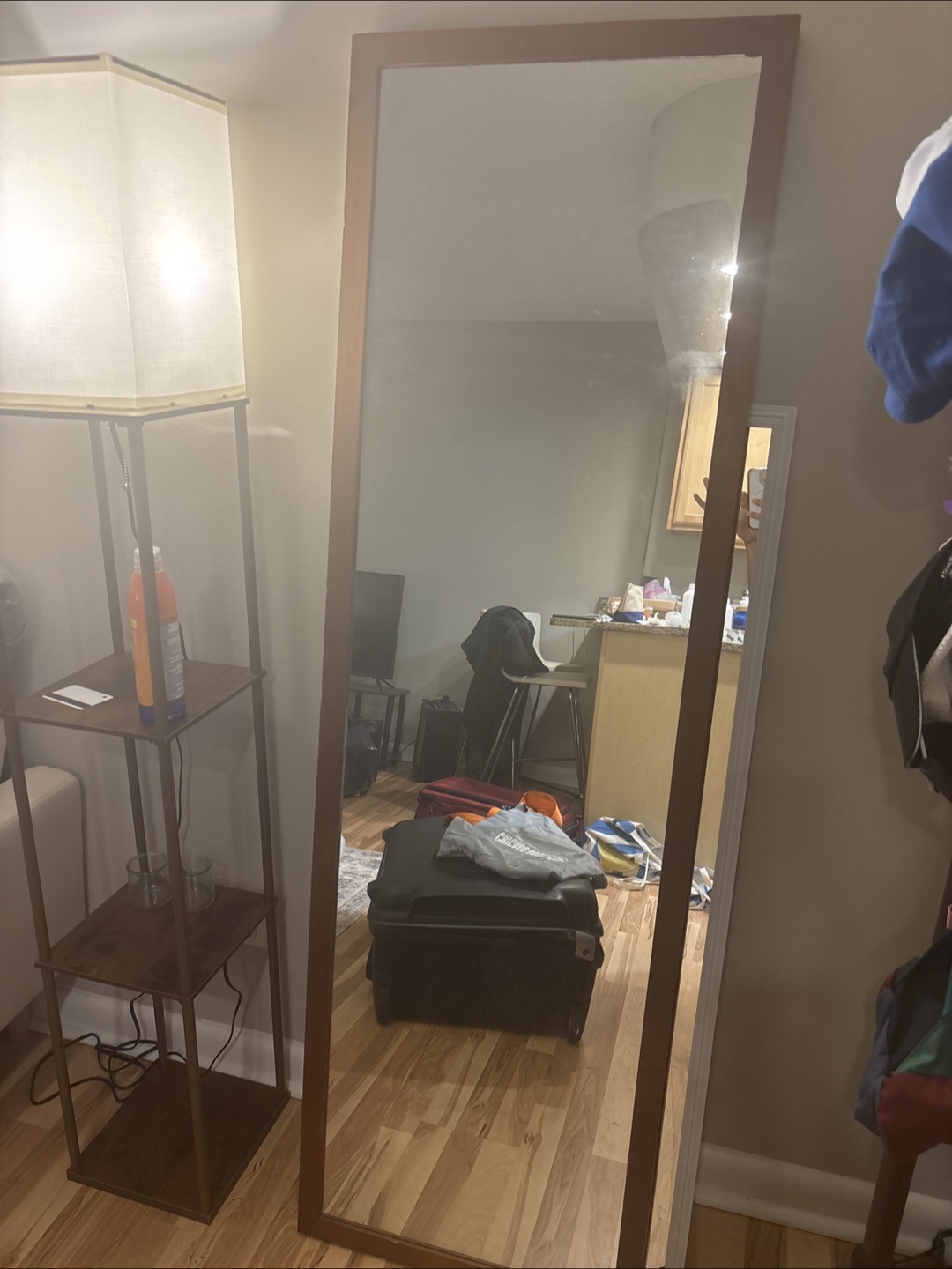 Full Length Brown Framed Mirror