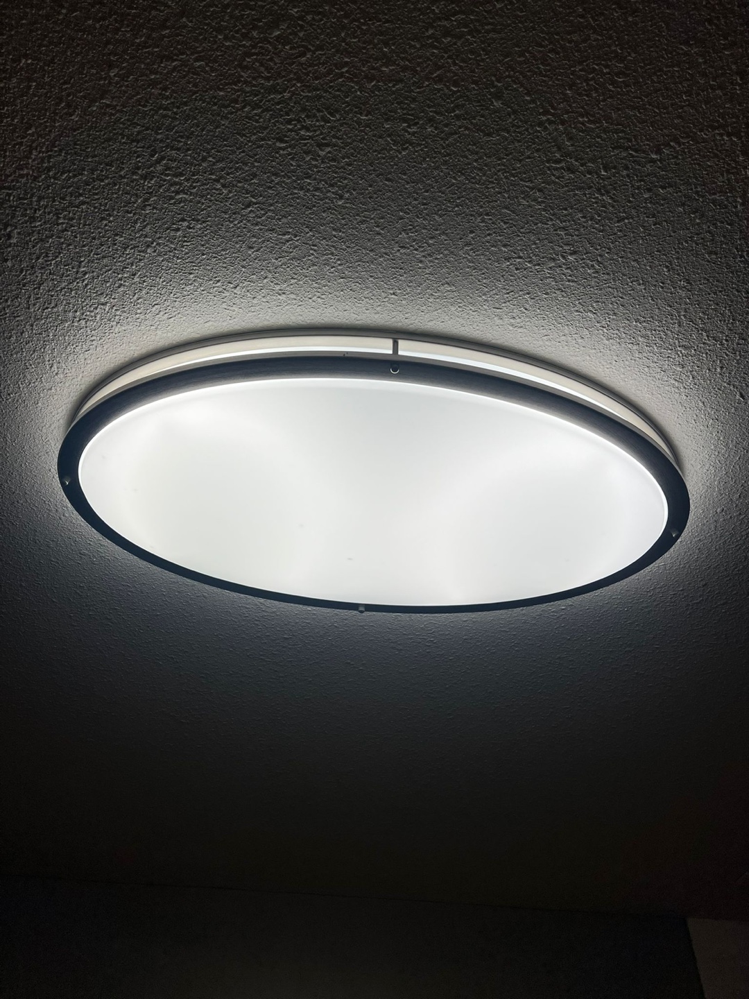 Oval Ceiling Light Fixture - photo 2