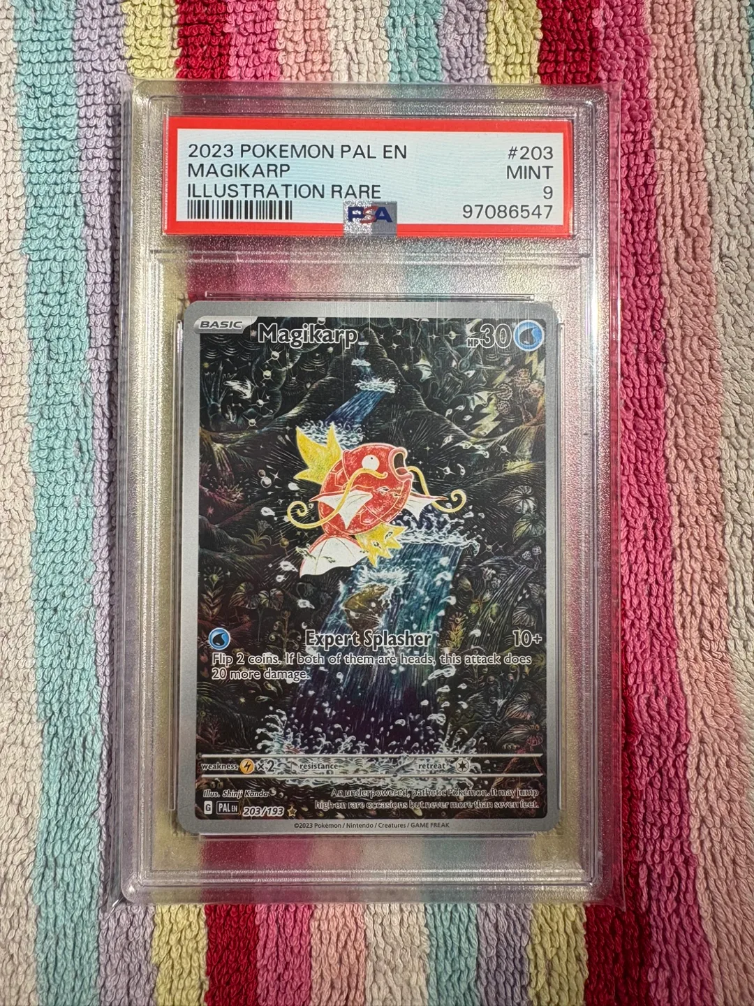 Magikarp Paldea Evolved IR #203 PSA9 (very clean!) thumbnail