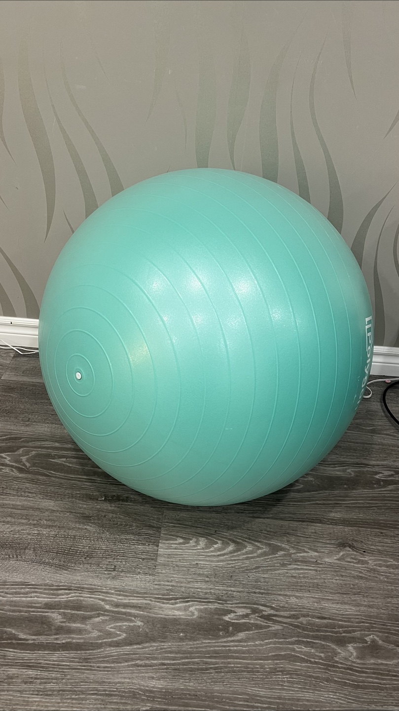 Lifepoly 65cm Exercise Ball - Mint